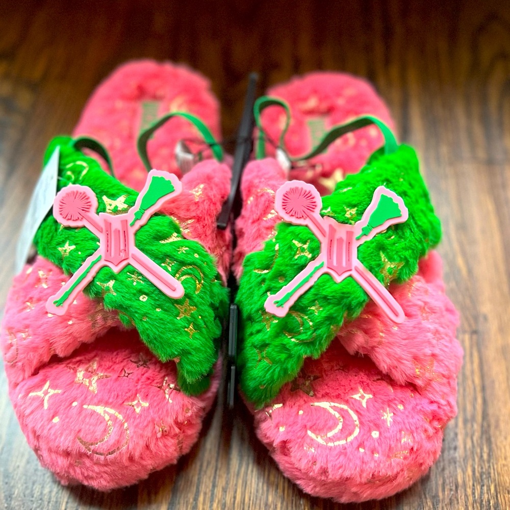 Wicked Women's Slipper-NWT multiple sizes, make it a themed party! At lowest $